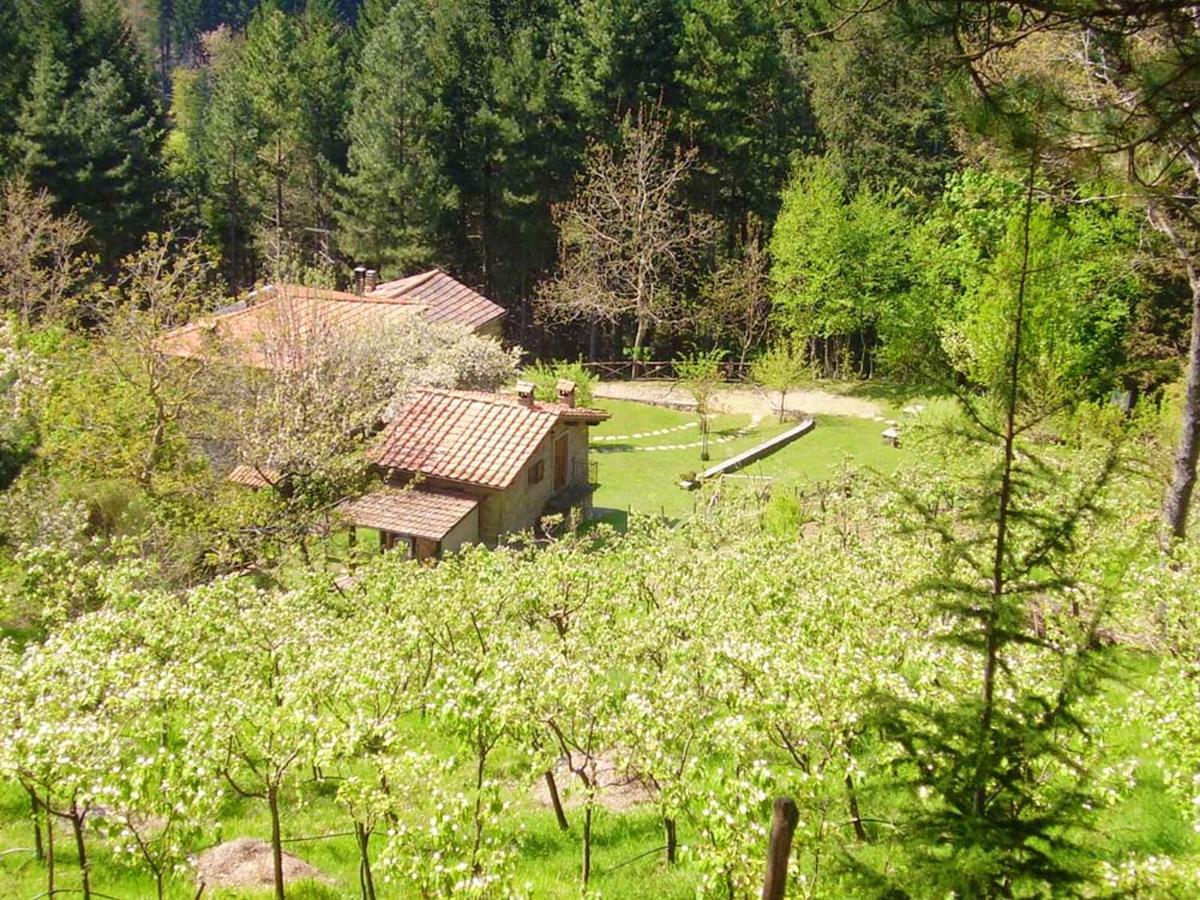 Comfortable House In Bibbiena + Pool Екстер'єр фото