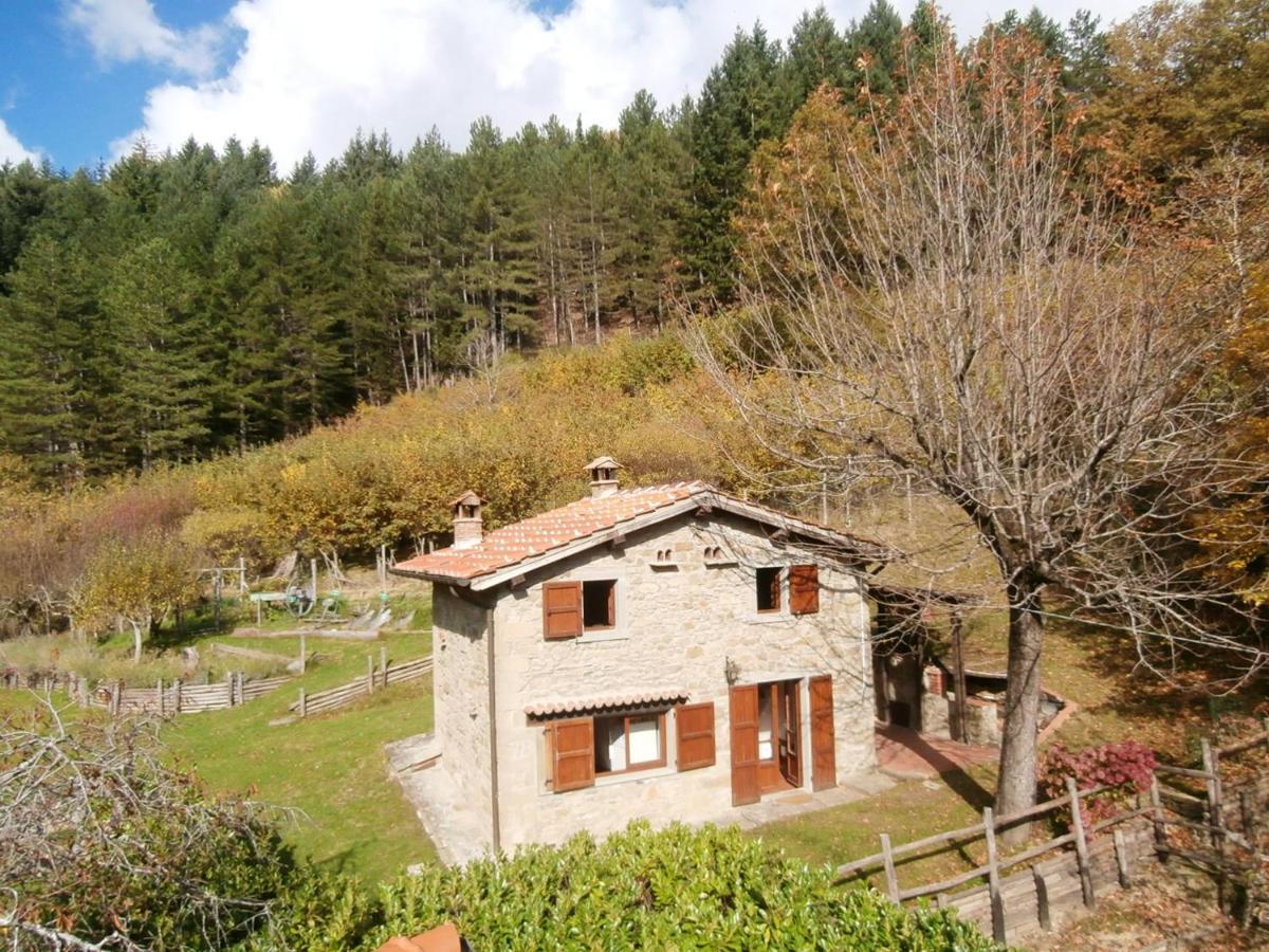 Comfortable House In Bibbiena + Pool Екстер'єр фото