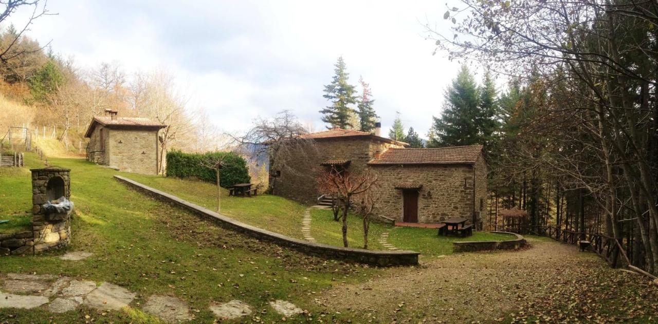 Comfortable House In Bibbiena + Pool Екстер'єр фото