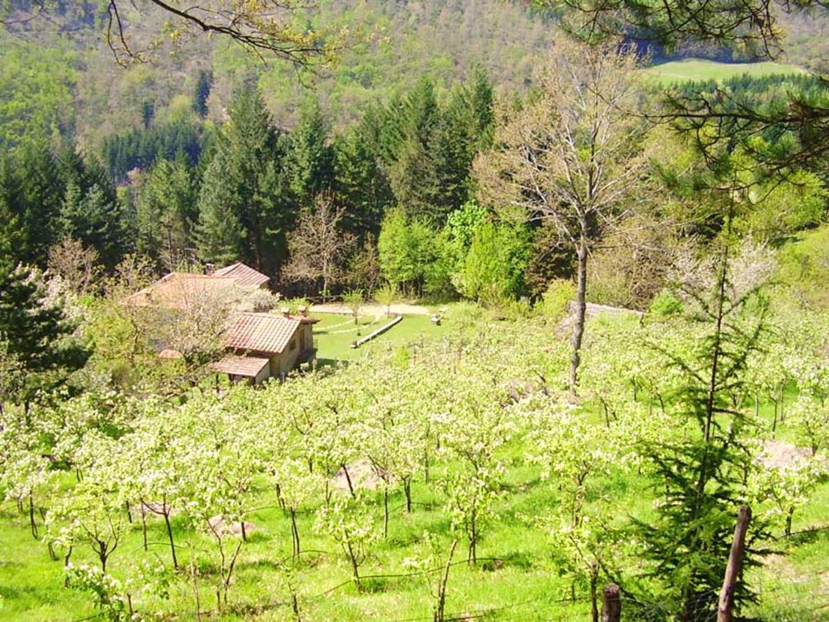 Comfortable House In Bibbiena + Pool Екстер'єр фото